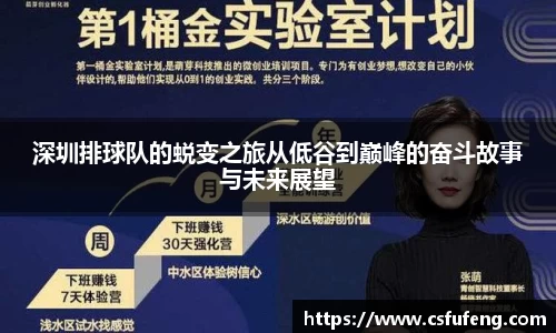深圳排球队的蜕变之旅从低谷到巅峰的奋斗故事与未来展望